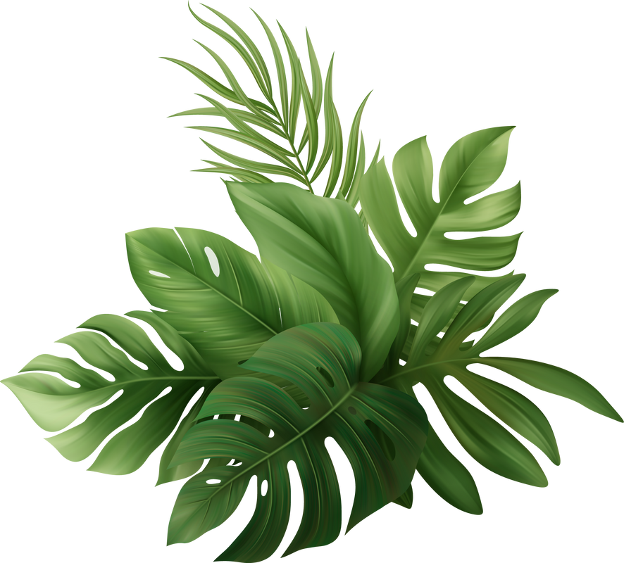Palm Leaves Tropic